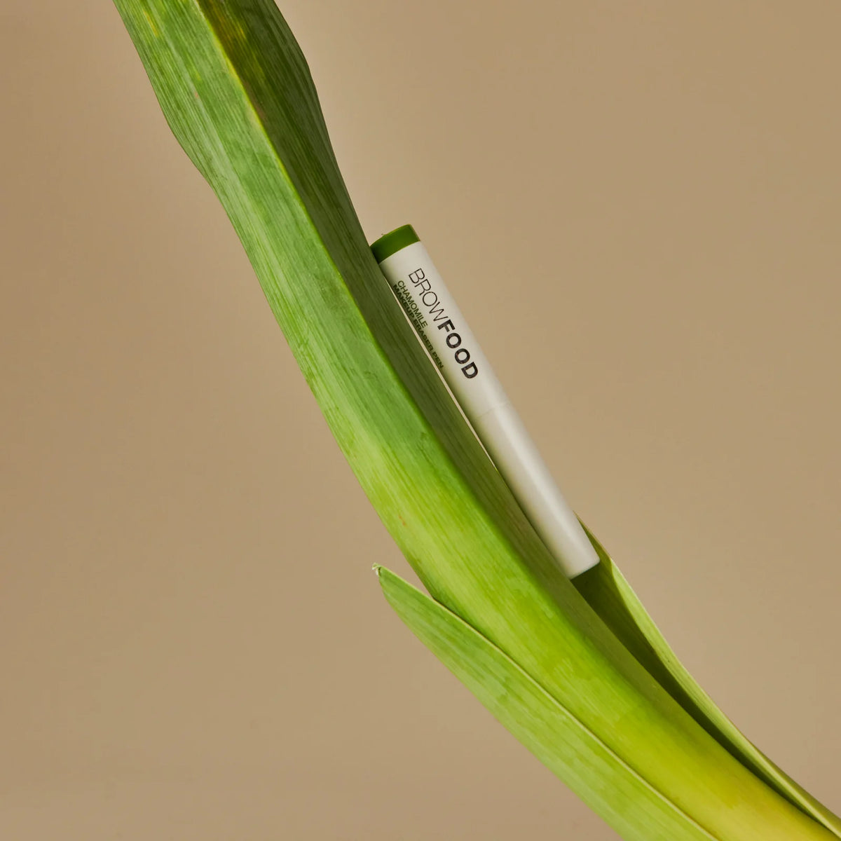 LASHFOOD Discovery Set pro krásné řasy i obočí