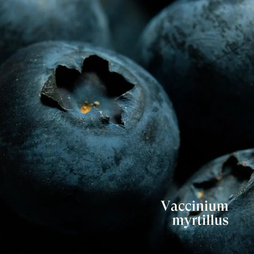 AIVA The Skin Capsule