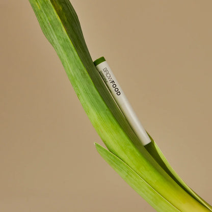 LASHFOOD Discovery Set pro krásné řasy i obočí