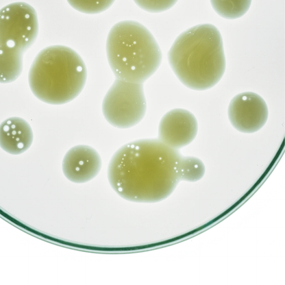 Gentle Bioferment Serum